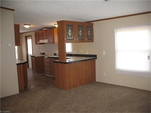 1603 Huffman Fork Rd, Purlear, NC 28665 photo 8