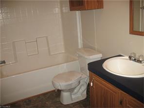 1603 Huffman Fork Rd, Purlear, NC 28665 photo 14