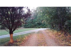 1645 Ross Wood Rd, Trinity, NC 27370 photo 30