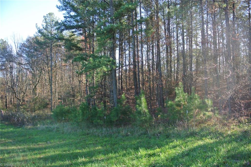 1066 Blackburn Rd, Pinnacle, NC 27043 photo 4