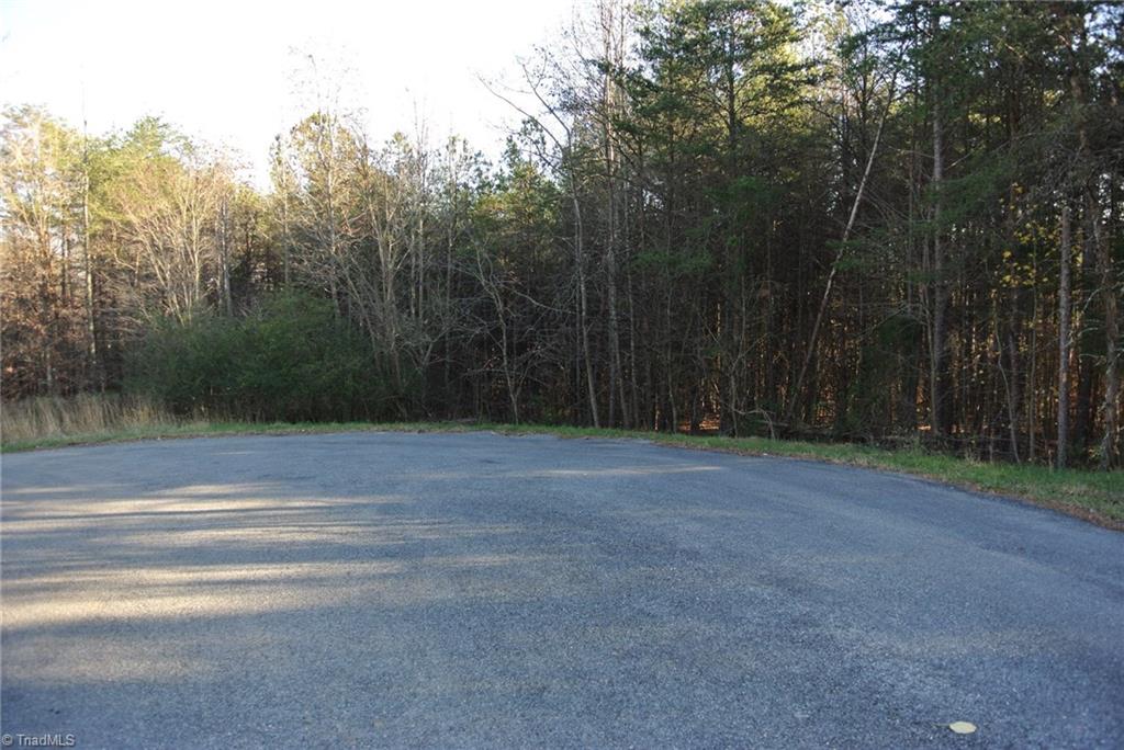 1066 Blackburn Rd, Pinnacle, NC 27043 photo 16
