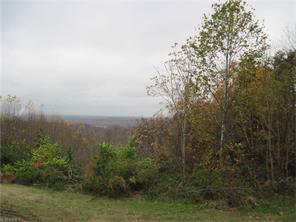 717 Chumney Loop, Eden, NC 27288 photo 10