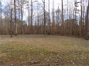 6860 Creek Hills Dr, Trinity, NC 27370 photo 13