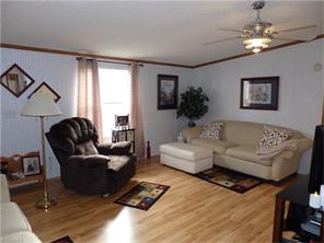 6860 Creek Hills Dr, Trinity, NC 27370 photo 5