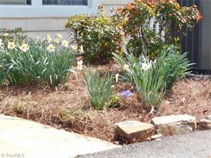 158 Golfview Dr, Bermuda Run, NC 27006 photo 21
