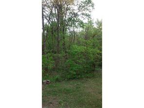 2135 Bevan Dr, Trinity, NC 27370 photo 8