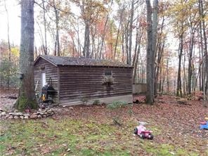 103 Abbott Ln, Lowgap, NC 27024 photo 3