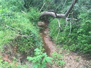 305 E Main St, Pilot Mountain, NC 27041 photo 11