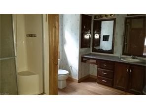 1107 Pine Forest Dr, Pinnacle, NC 27043 photo 9