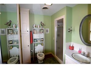 923 Dodson Mill Rd, Pilot Mountain, NC 27041 photo 9