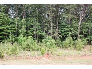 201 Pilot Bluff Dr, King, NC 27021 photo 18