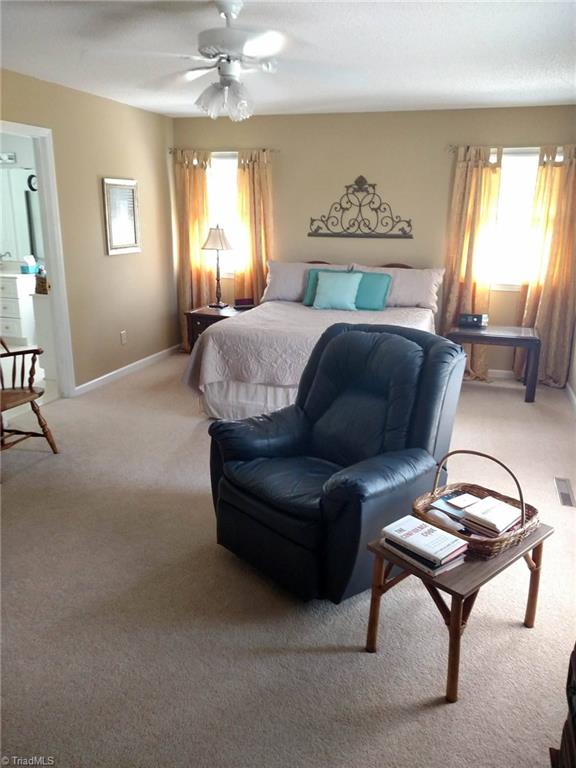785 Carson Rd, Pilot Mountain, NC 27041 photo 29