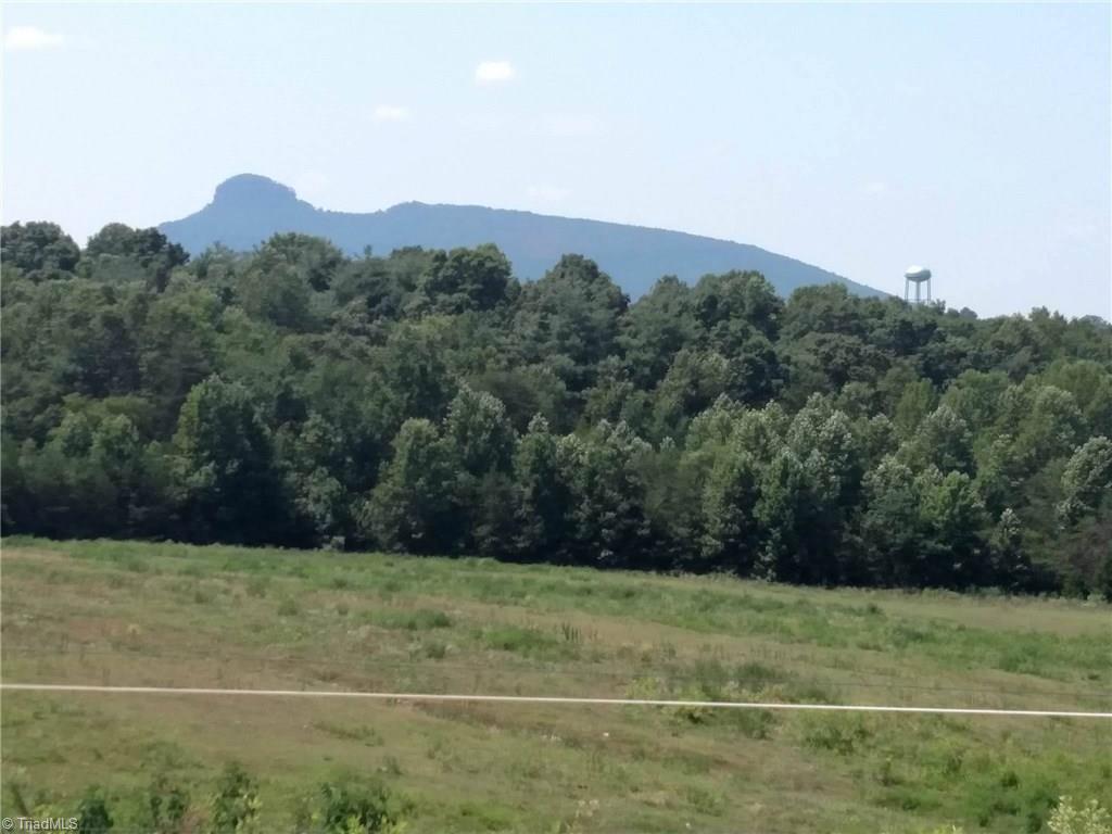 785 Carson Rd, Pilot Mountain, NC 27041 photo 2