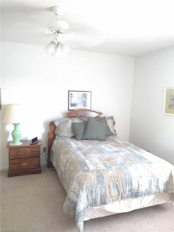 785 Carson Rd, Pilot Mountain, NC 27041 photo 25