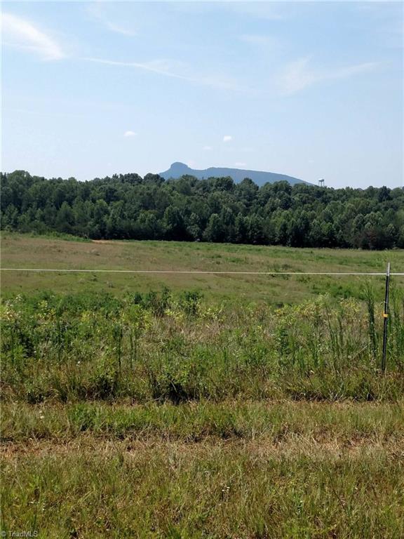 785 Carson Rd, Pilot Mountain, NC 27041 photo 3