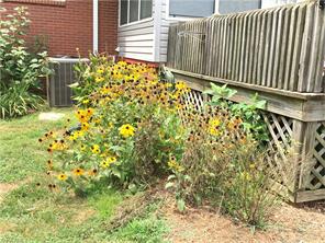 119 Forest Park Dr, Denton, NC 27239 photo 9