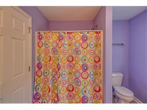 3795 Richey Rd, Denton, NC 27239 photo 23