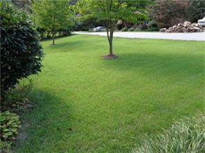 115 Texas St, Elkin, NC 28621 photo 3