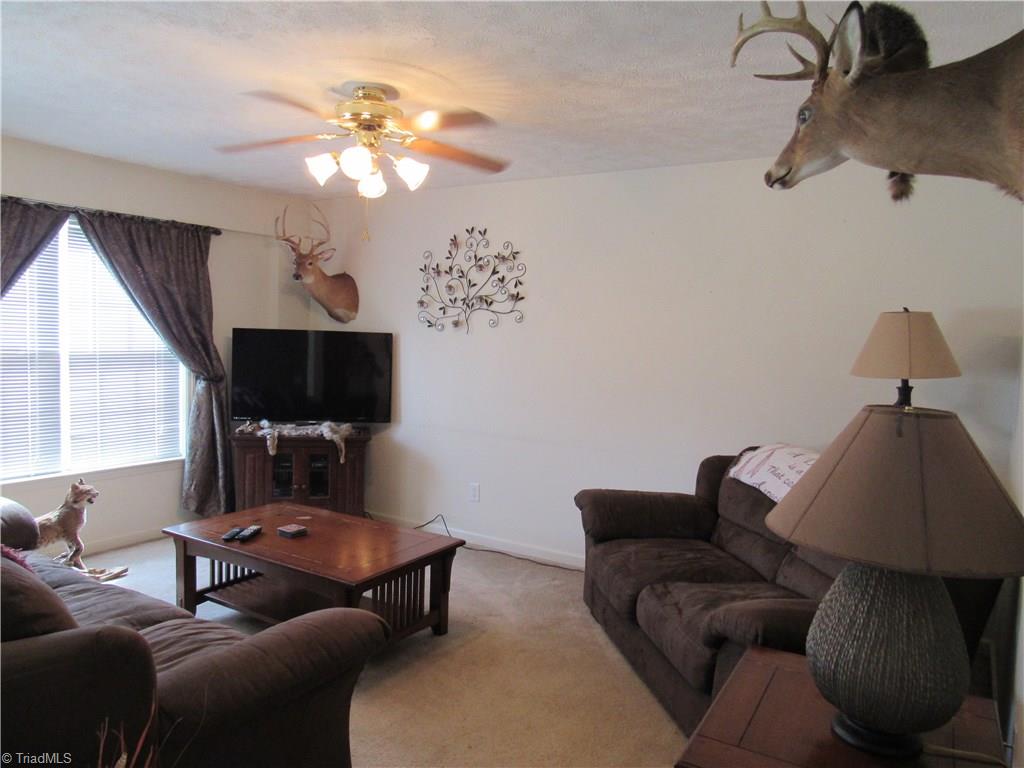 1115 Laurel Crest Rd, King, NC 27021 photo 8