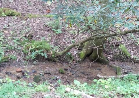 8902 Haystack Rd, Thurmond, NC 28683 photo 2
