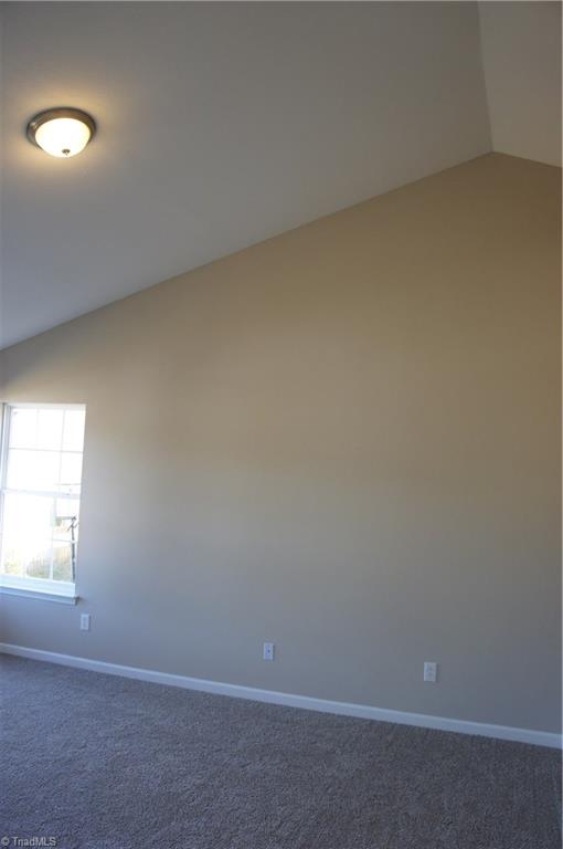 866 Hedgepath Ter, High Point, NC 27265 photo 18