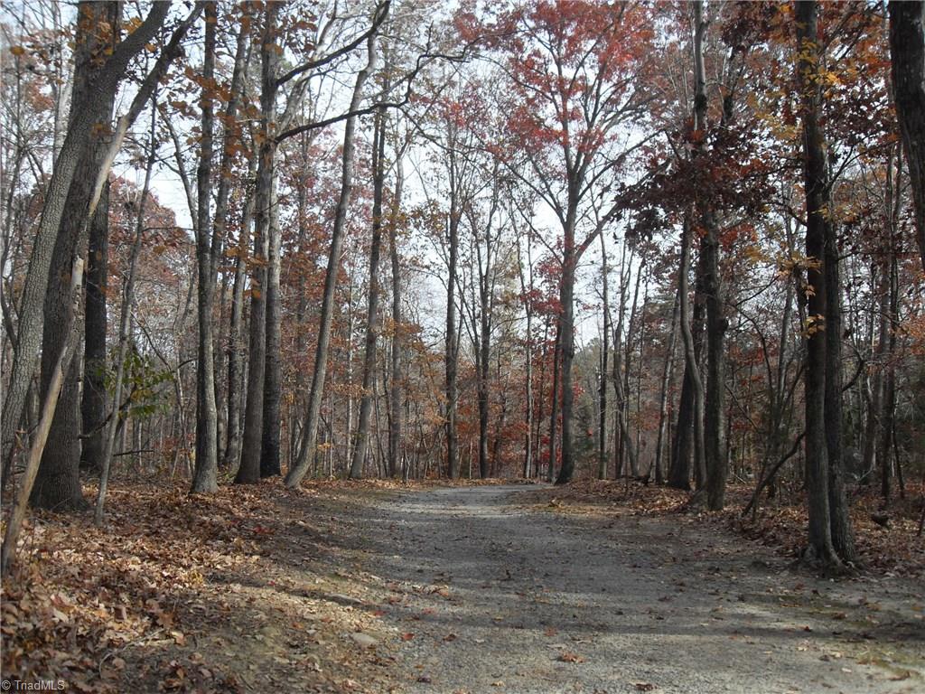 338 Fox Run View Ln, Trinity, NC 27370 photo 20
