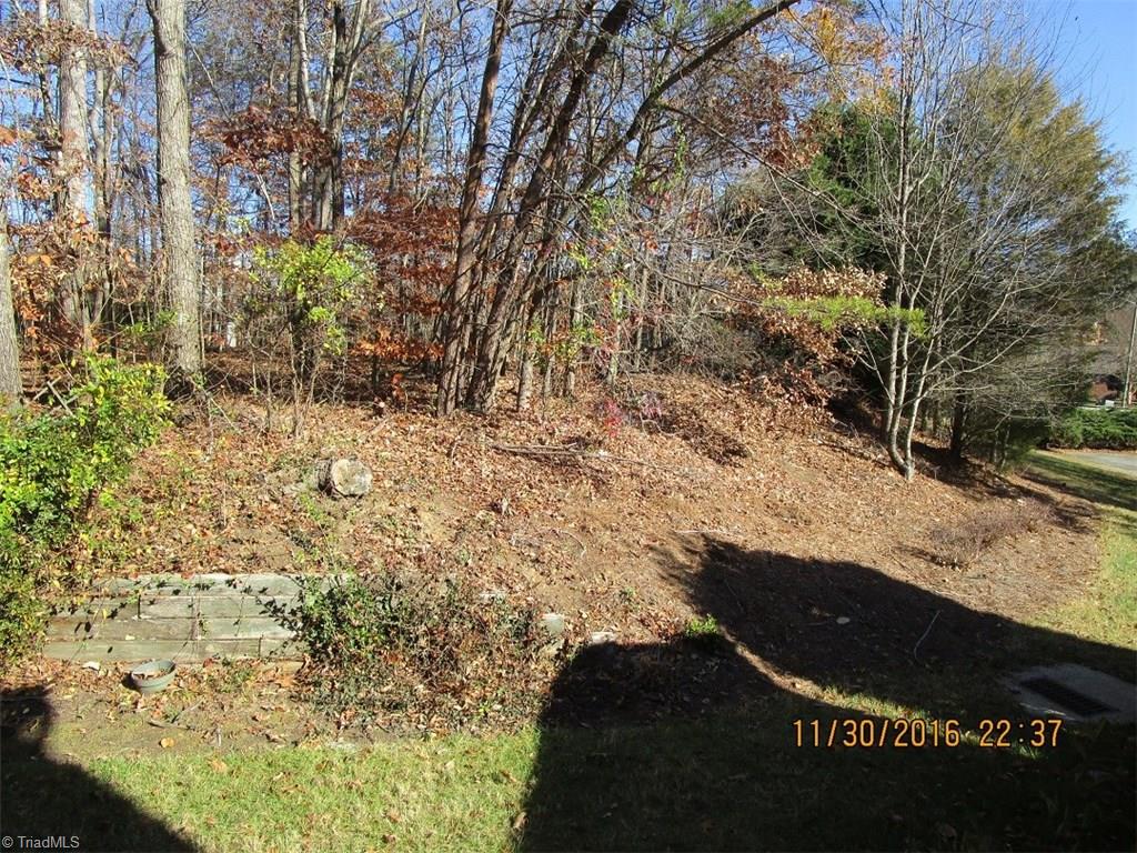 1704 Ternberry Rd, High Point, NC 27262 photo 20