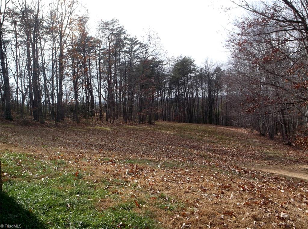 1475 Marshall Smith Rd, King, NC 27021 photo 5