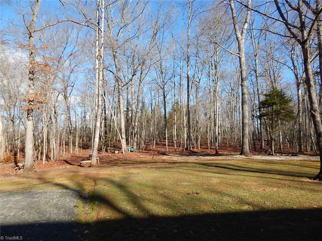 226 Windsor Park Dr, Dobson, NC 27017 photo 25
