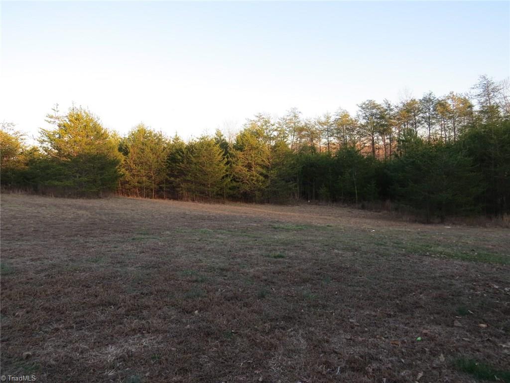121 Alcorn Loop, Ruffin, NC 27326 photo 18
