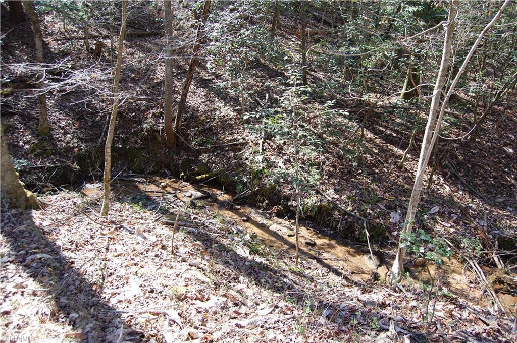 648 Traphill Mill Rd, Traphill, NC 28685 photo 9