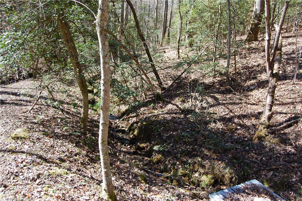 648 Traphill Mill Rd, Traphill, NC 28685 photo 3