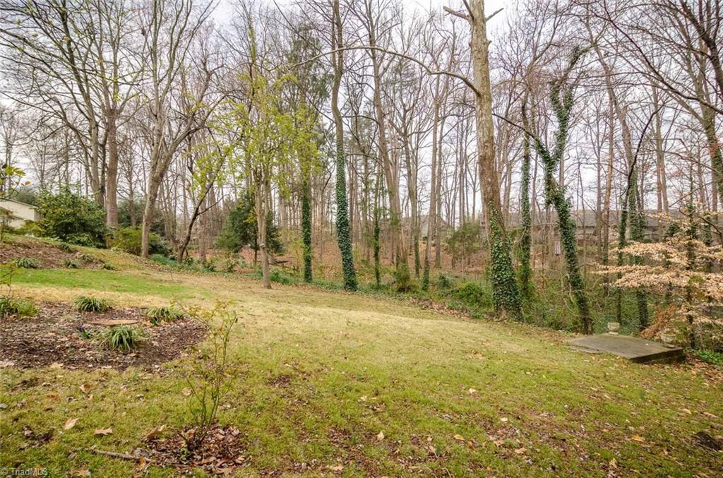 2301 Dover Pl, High Point, NC 27265 photo 24