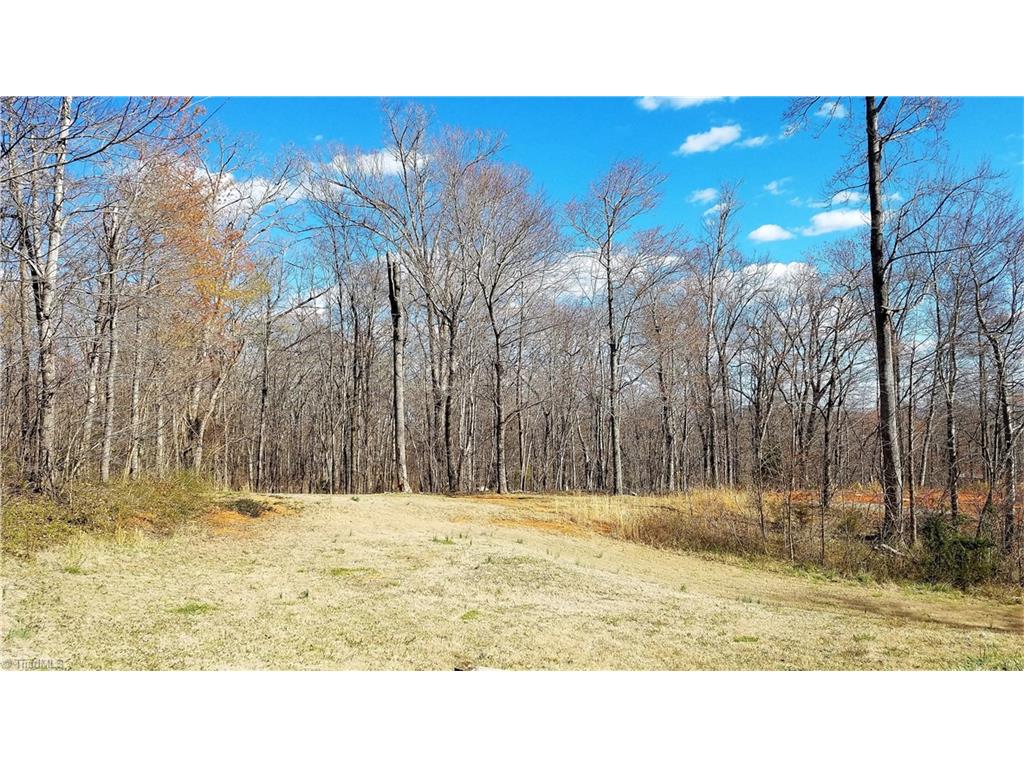 2830 Eagle Point Dr, Trinity, NC 27370 photo 4