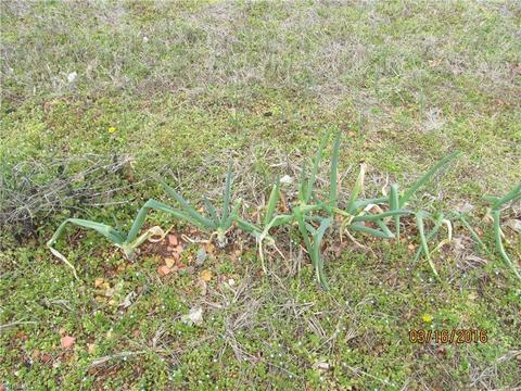 203 E Silver St Regan Rd, Lexington, NC 27292 photo 25