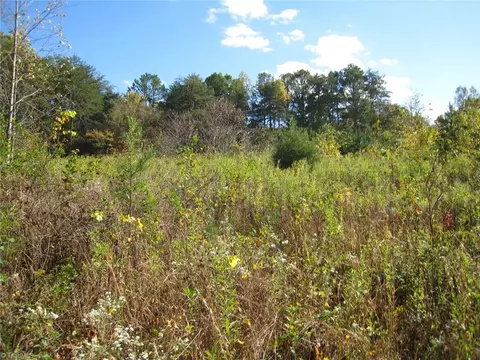 191 Key St, Pilot Mountain, NC 27041 photo 16