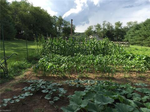 6519 Haystack Rd, Dobson, NC 27017 photo 28