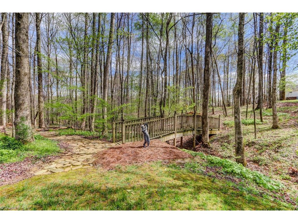 4204 Maple Tree Ct, Colfax, NC 27235 photo 27