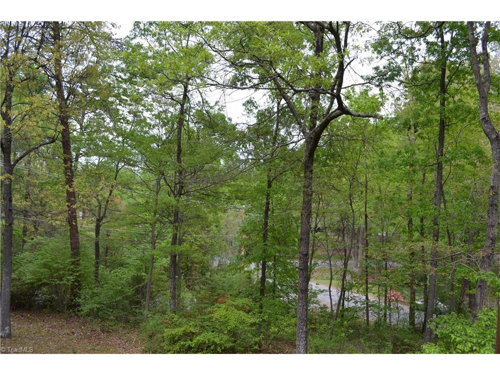 1509 Cherokee Dr, High Point, NC 27262 photo 10