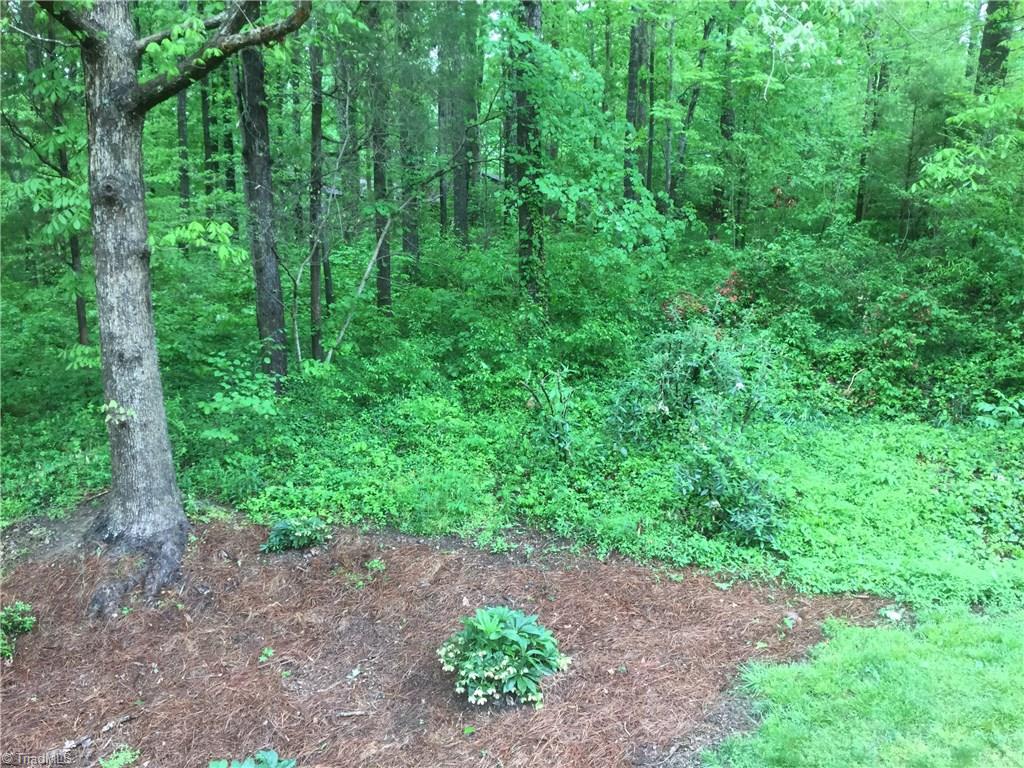 105 Mohawk Ct, High Point, NC 27262 photo 29