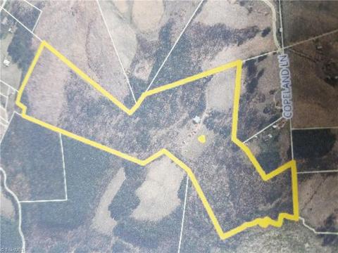 174 Copeland, Laurel Fork, VA 24352 photo 30