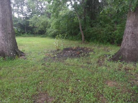 6076 Kennedy Rd, Trinity, NC 27370 photo 9