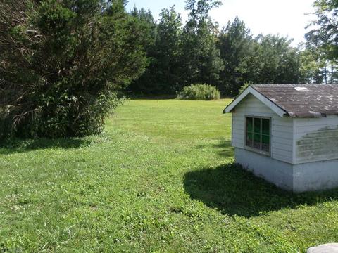 311 Haynes Rd, Dobson, NC 27017 photo 14