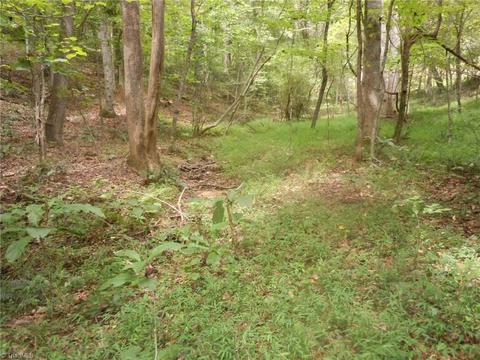 518 Butner Rd, Pinnacle, NC 27043 photo 30