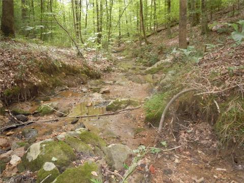 518 Butner Rd, Pinnacle, NC 27043 photo 29