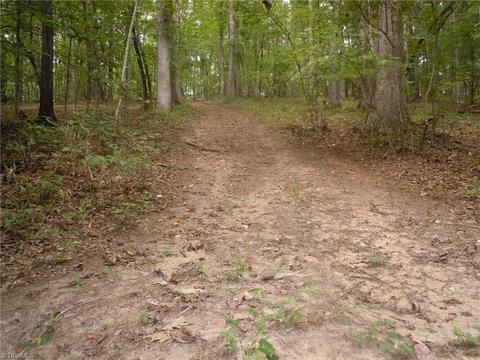 518 Butner Rd, Pinnacle, NC 27043 photo 27