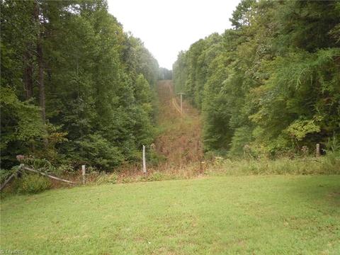 518 Butner Rd, Pinnacle, NC 27043 photo 26