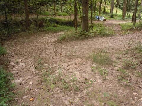 518 Butner Rd, Pinnacle, NC 27043 photo 28