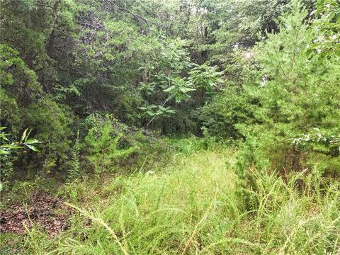 8608 Mcguire Rd, Colfax, NC 27235 photo 3