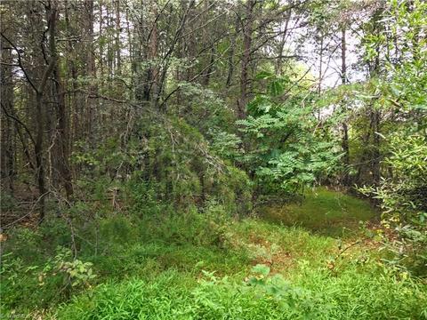 8608 Mcguire Rd, Colfax, NC 27235 photo 2